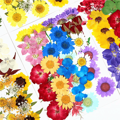 36Pcs Dried Pressed Flowers for Resin and Crafts