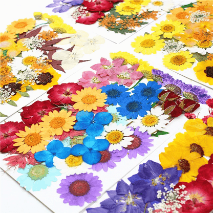 36Pcs Dried Pressed Flowers for Resin and Crafts