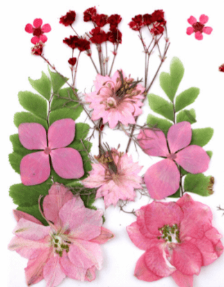 dried flowers 